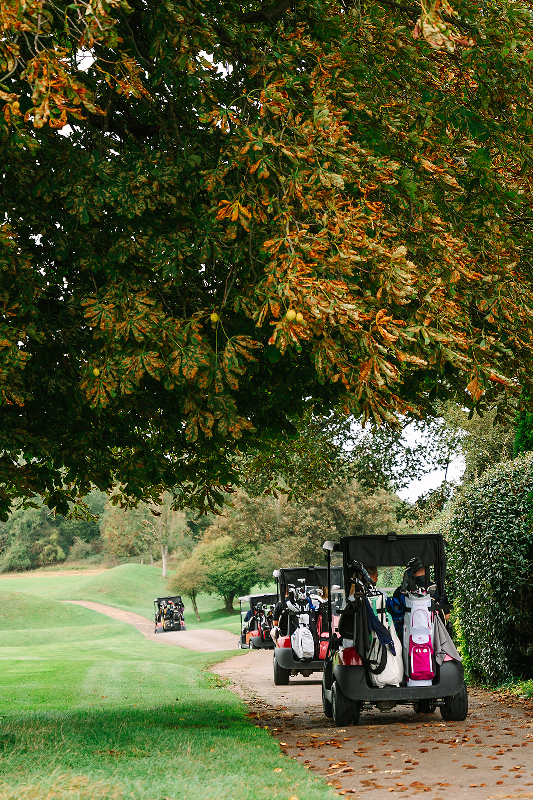 Buggies on the course