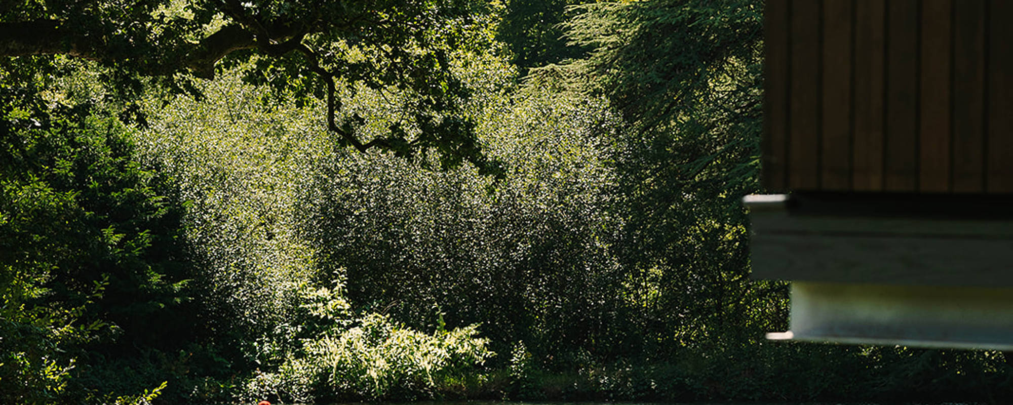 Wild Swimming Spa Day