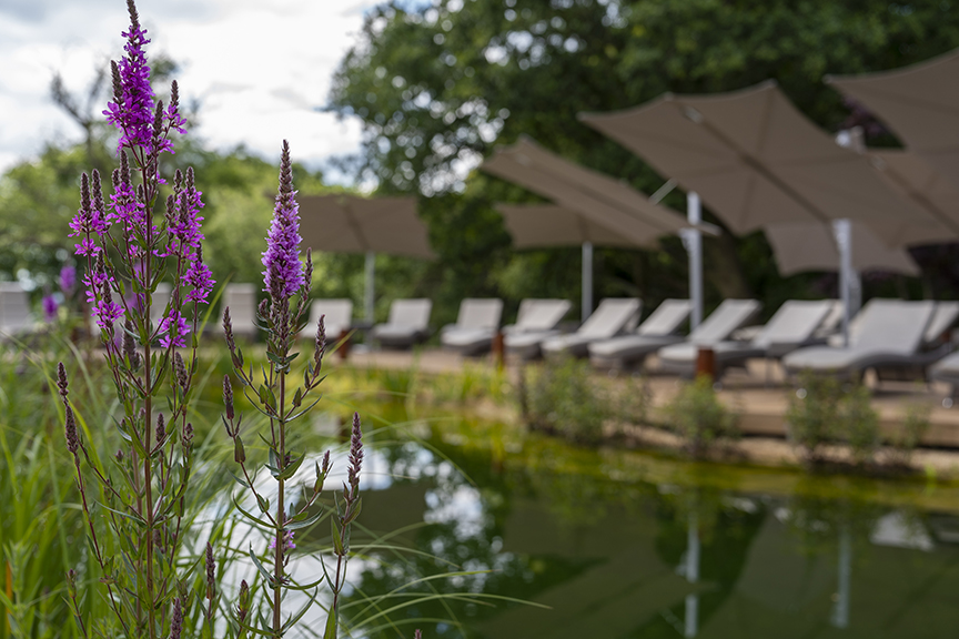 The spa wild swim pool