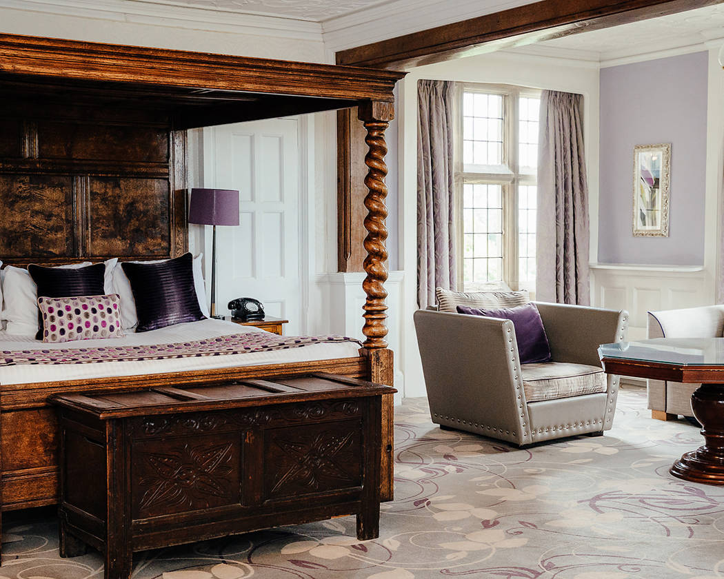 Stay, Celebrate, and Relax