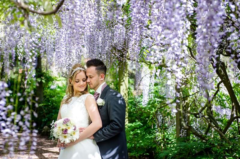 spring time in bloom