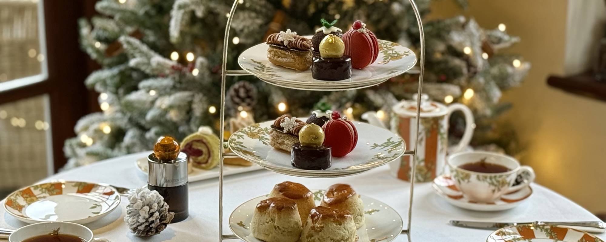 A very merry Molton Christmas